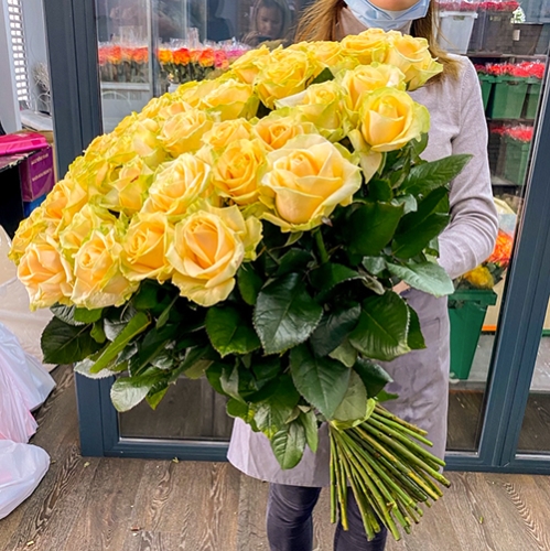 75 роз Аваланж (70 см) в Солнечногорске