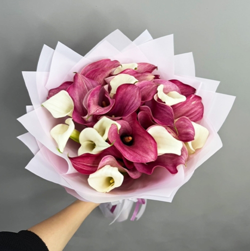 Букет из 25 нежных калл в Солнечногорске