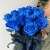 15 синих LUX роз Эквадор (70 см) в Солнечногорске 15 синих LUX роз Эквадор (70 см) в Солнечногорске