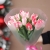 Букет "Фламинго" из 11 пионовидных тюльпанов в Солнечногорске Букет "Фламинго" из 11 пионовидных тюльпанов в Солнечногорске