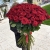 Букет из 101 красной розы (90 см) в Солнечногорске Букет из 101 красной розы (90 см) в Солнечногорске