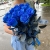 15 синих LUX роз Эквадор (70 см) в Солнечногорске 15 синих LUX роз Эквадор (70 см) в Солнечногорске