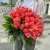 Букет 51 роза коралл (60 см) в Солнечногорске Букет 51 роза коралл (60 см) в Солнечногорске