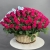 Композиция в корзине из 151 малиновой розы в Солнечногорске Композиция в корзине из 151 малиновой розы в Солнечногорске