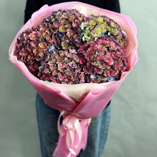 Букет из 5 космических Голландских гортензий в Солнечногорске