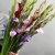 Букет из 25 гладиолусов микс в Солнечногорске Букет из 25 гладиолусов микс в Солнечногорске