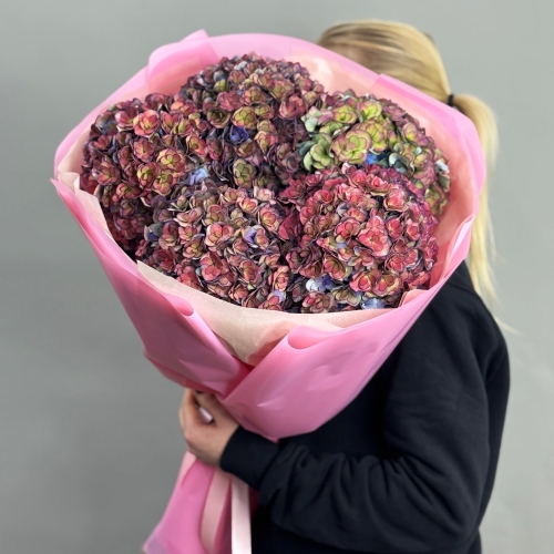 Букет из 5 космических Голландских гортензий в Солнечногорске